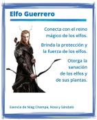 Elfo Guerrero